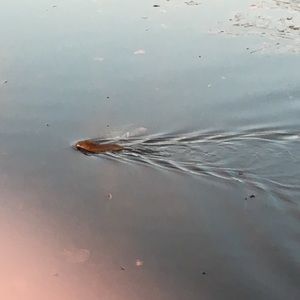 Meet your Posher, Jon